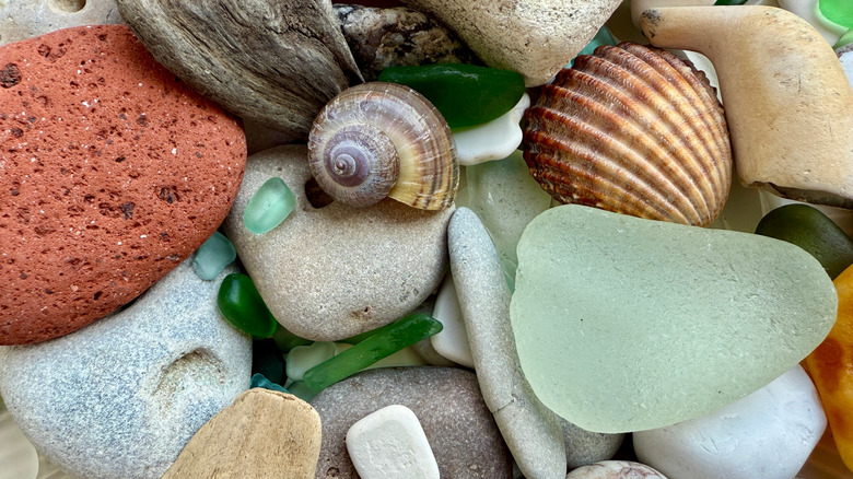 A collection of sea finds, including sea glass and shells