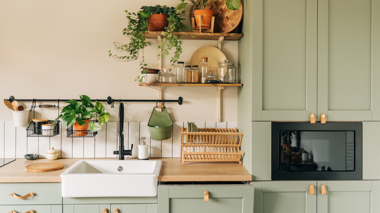 A minimalistic light green kitchen with plants
