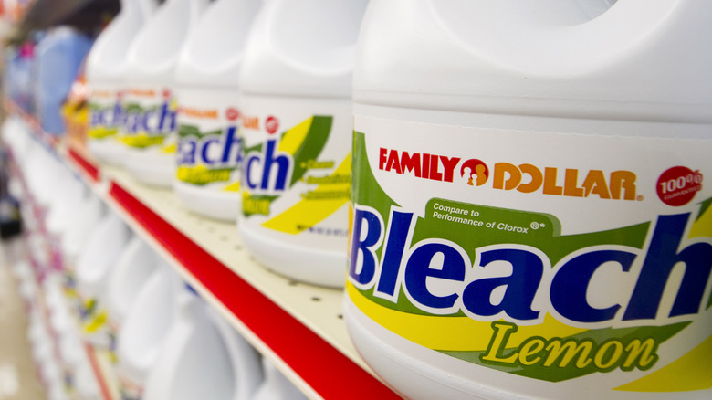 Bleach on  a store shelf