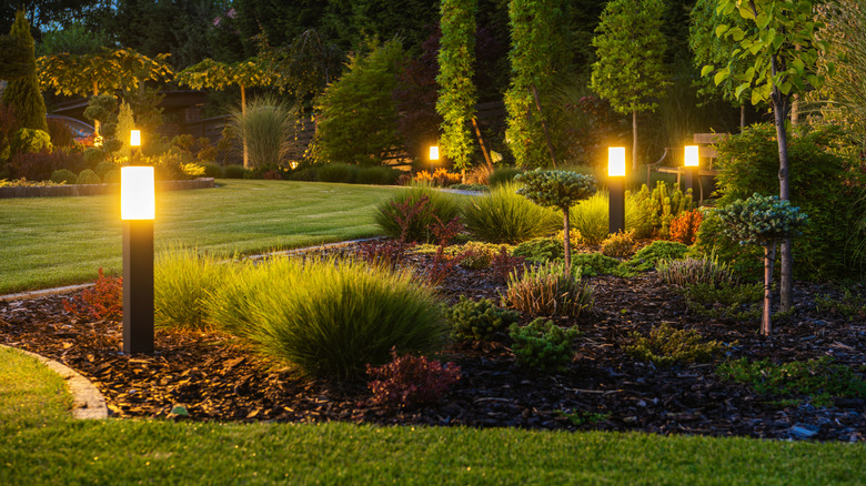 LED lights in a backyard garden