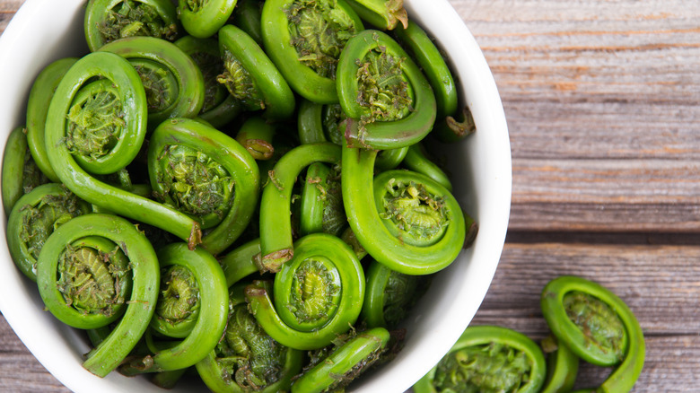Ostrich fern fiddleheads in a bowl