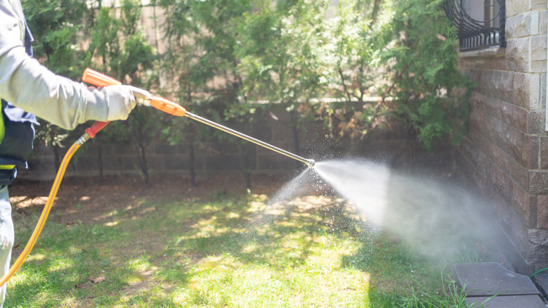 A gardener spraying the ground around a house