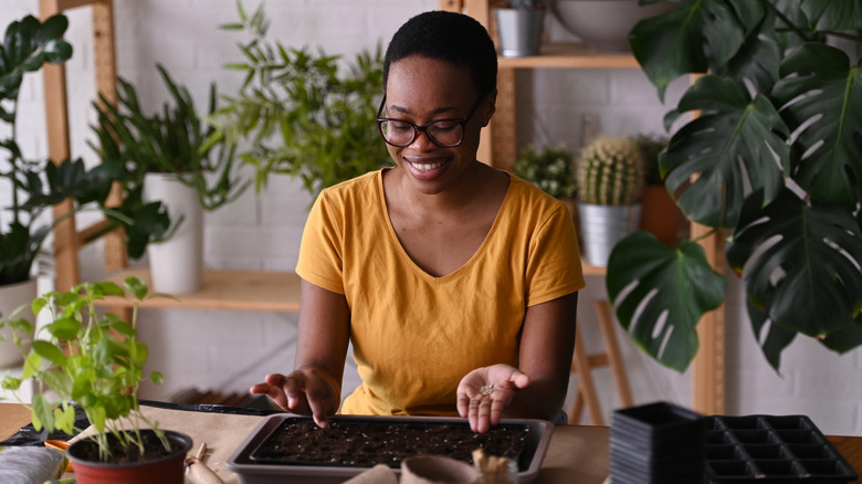 A gardener sowing seeds in a container in a home garden, surrounded by herbs and houseplants