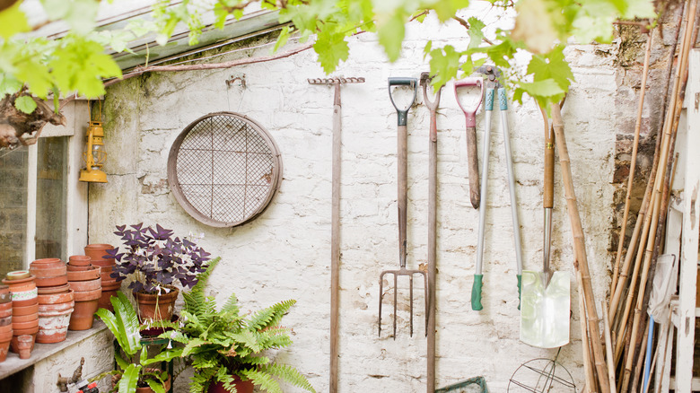 Tools hanging on shed