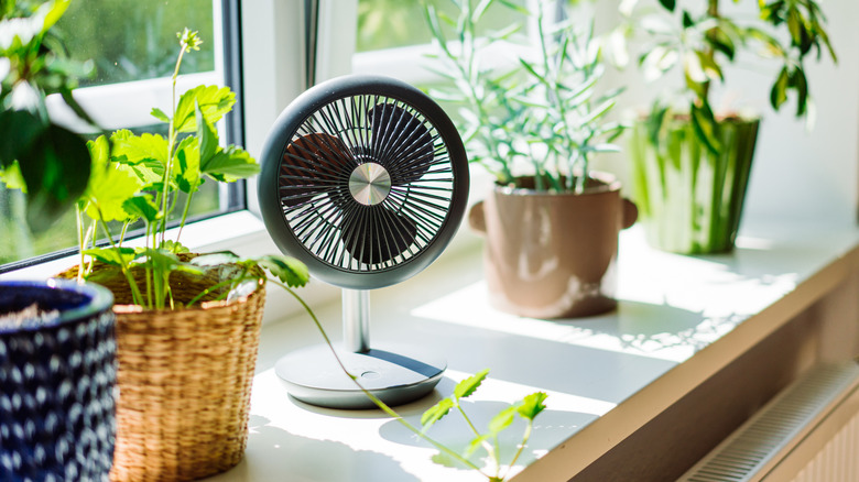 A small electric fan sits next to plants on a windowsill