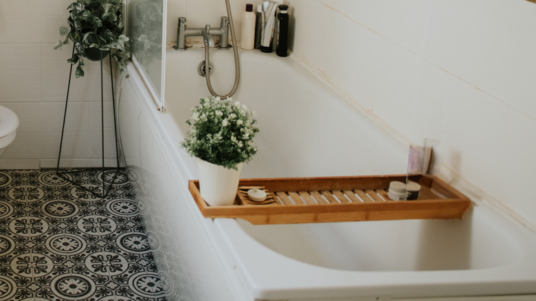 A bathroom filled with different kinds of plants on the floor, shelves, and hanging from the ceiling