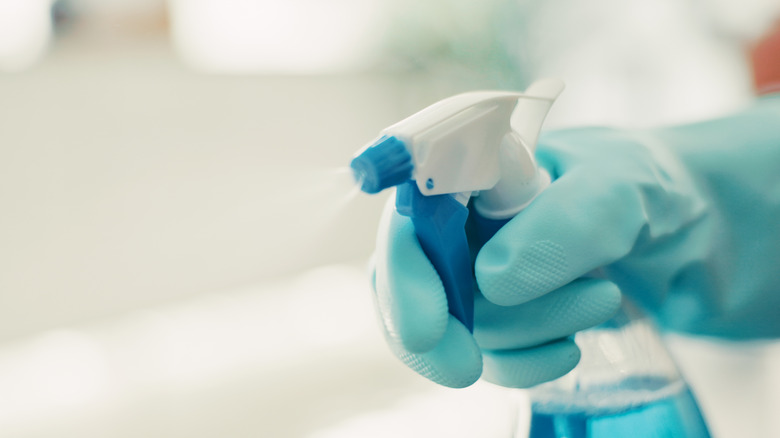 Person using spray bottle to clean