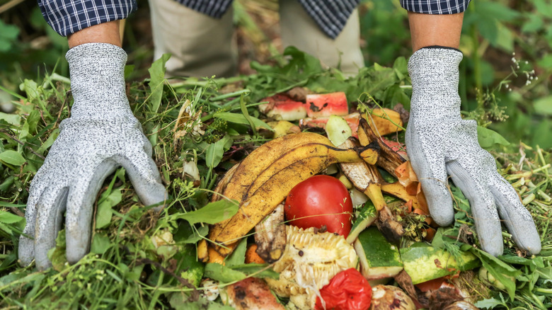 Person's gloved hands in a composting pile