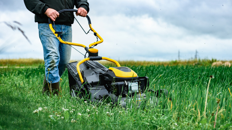 Person mowing starting in the middle of the lawn