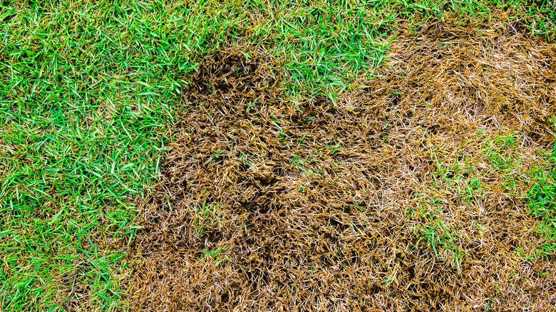 Damage to grass from furniture