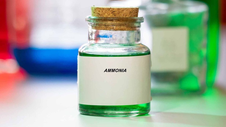 The Common Mouse-Repellent Home Remedy That Isn't Worth Trying