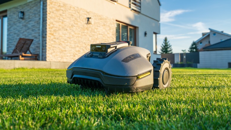 A robot lawn mower cutting the grass