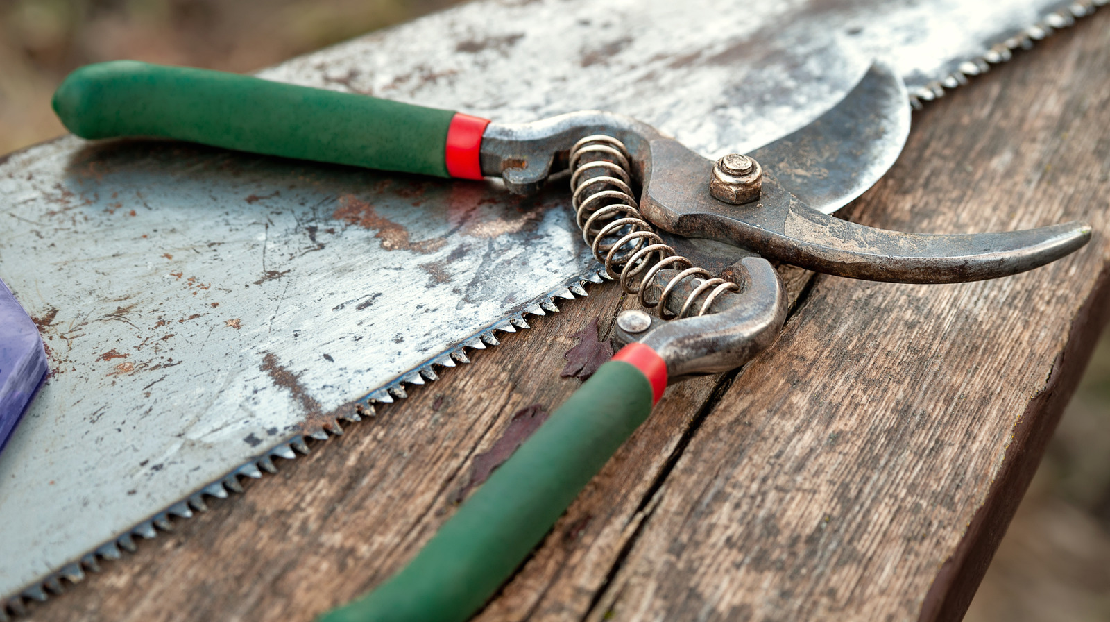 The Common Sandwich Spread That Can Keep Garden Tools In Tip Top Shape
