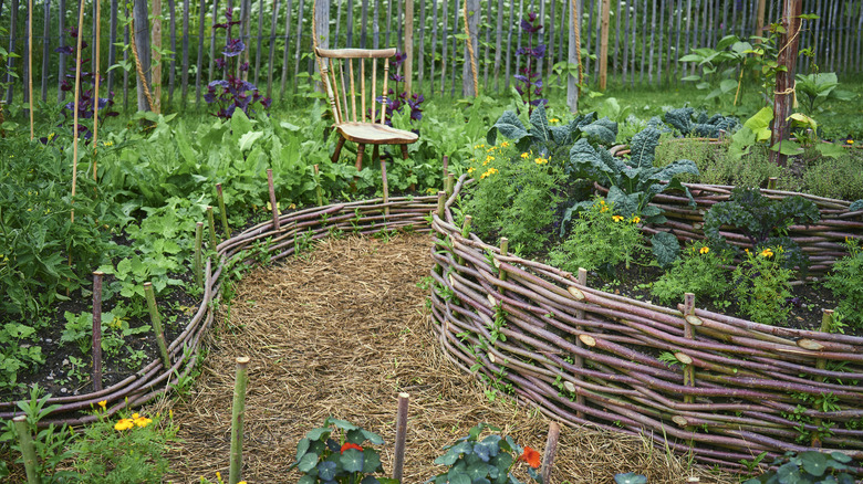 A beautiful garden with various plants growing in it and a straw-mulched path