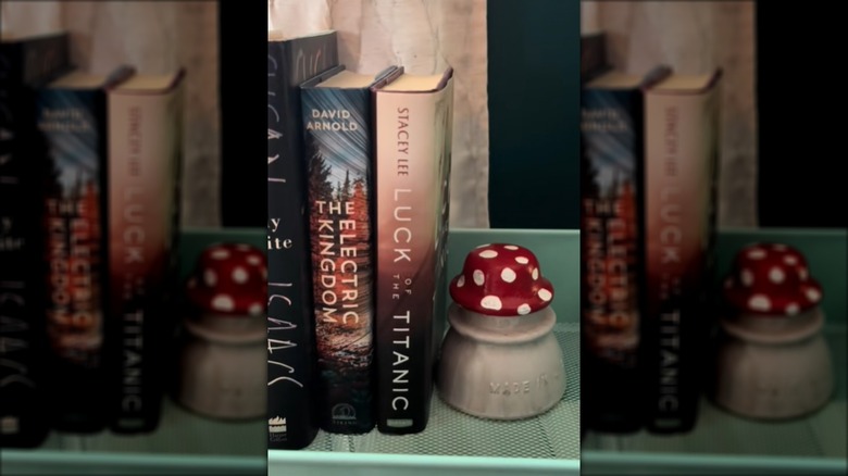 Glass insulator painted like a mushroom