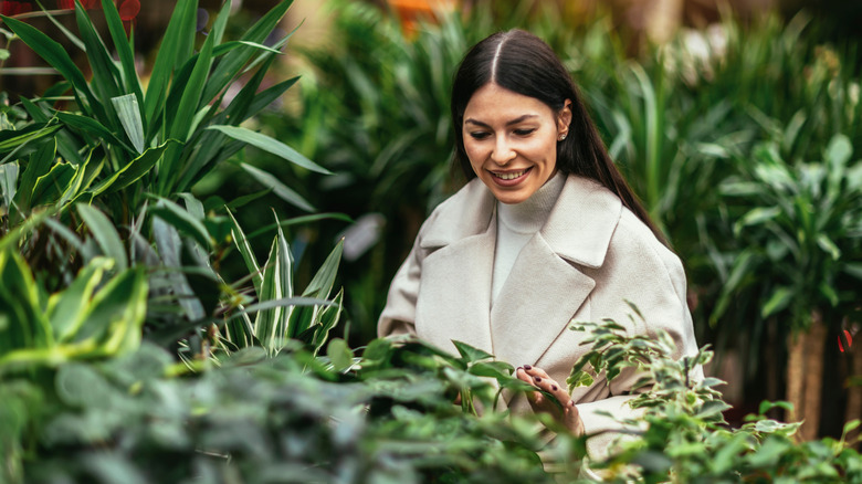 Woman choosing houseplant at nursery