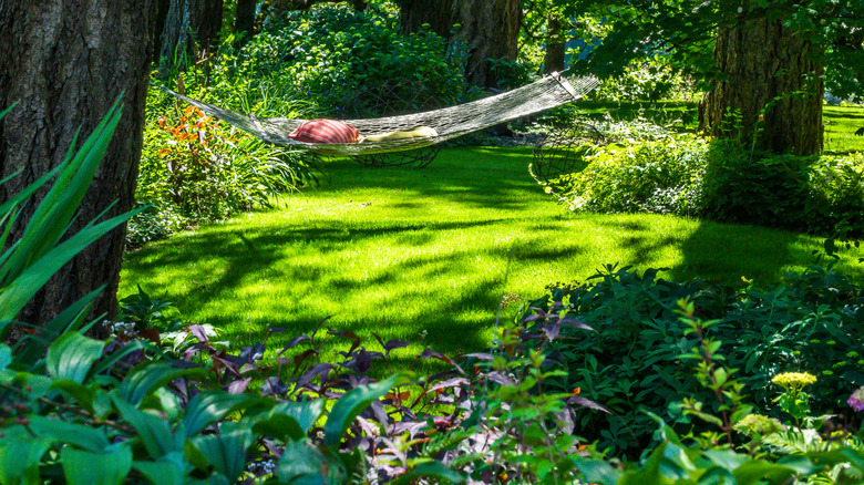 A shady spot in the yard shows dappled sunlight shining on hammock surrounded by trees and shrubs.