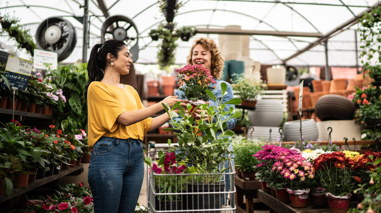 Two women buying plants at a garden center