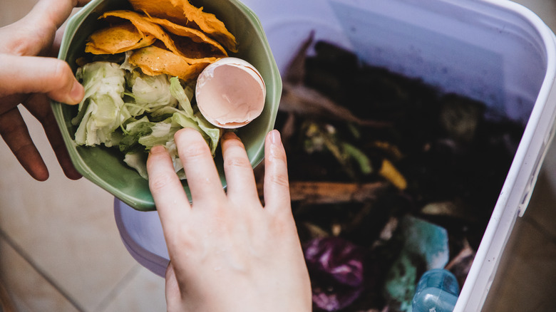 Hands adding food scraps to a composting bin