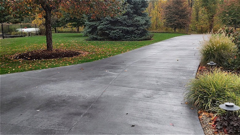 Long black colored concrete driveway through shrubs and trees in fall.