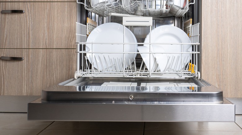 open dishwasher with white plates