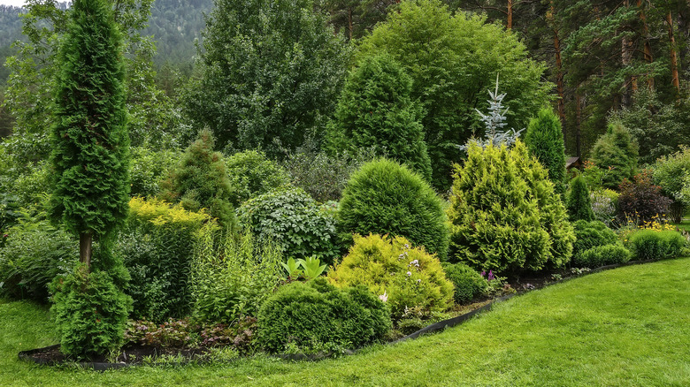 Garden plot full of greenery and shrubs