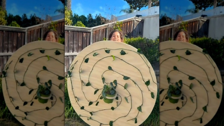 A smiling person holds a vining houseplant mounted on a wood circle with vines arranged in a spiral around the pot.