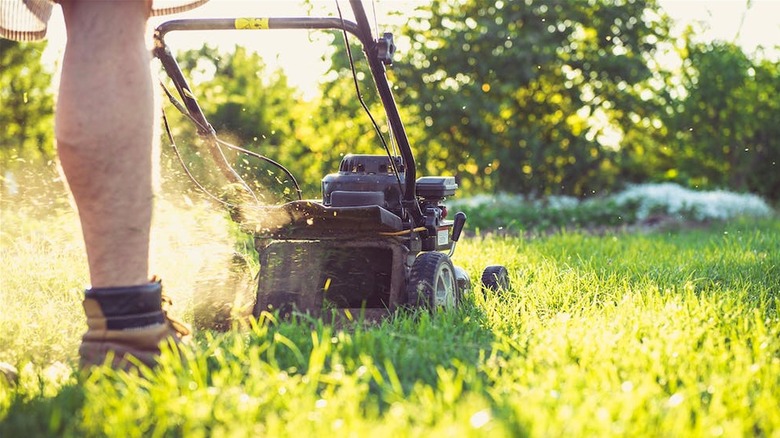 Person mowing lawn