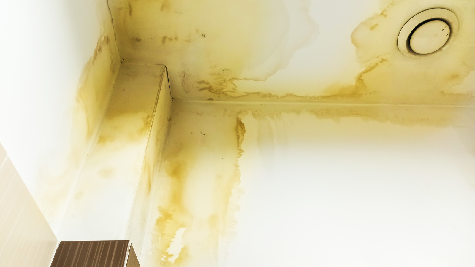The Correct Way To Paint Over Water Damage Without It Bleeding Through