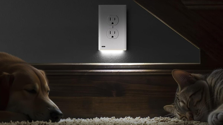 Dog and cat laying near an LED outlet cover