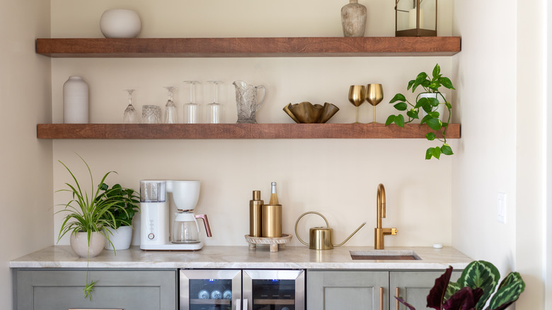 Small kitchen countertop with plants, coffee pot, and bottles beneath floating shelves.