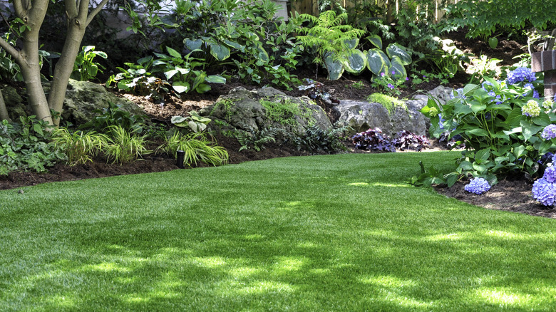 Shade garden