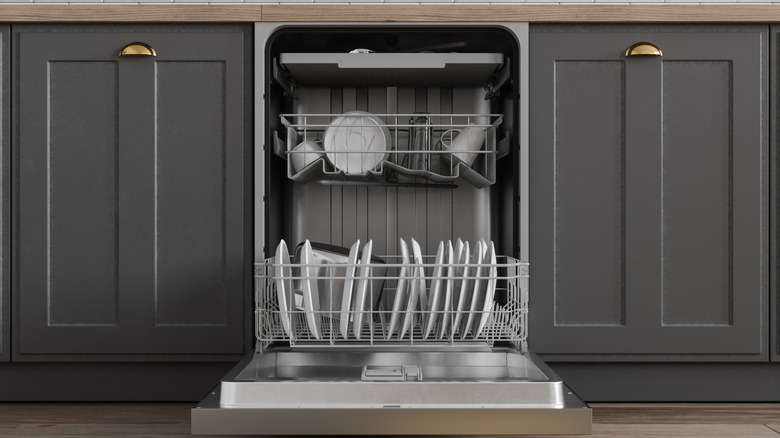 Front view of open dishwasher