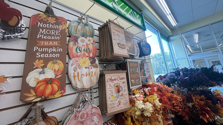 Dollar Tree fall décor products hanging on the shelves.