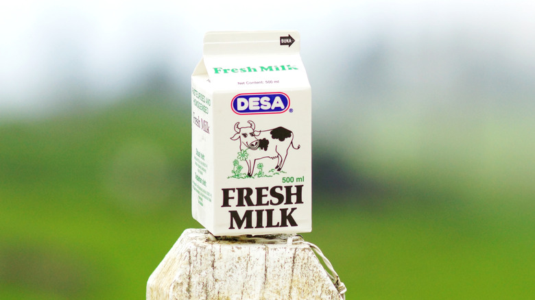 The photo showing a Small Fresh Milk package putting on the pillar of Cattle Dairy Farm, Sabah, Malaysia, Southeast Asia