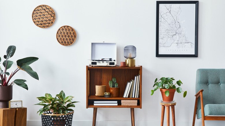 stylish living room with plants