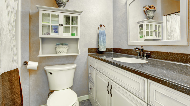 view of bathroom with an over-the-toilet shelf
