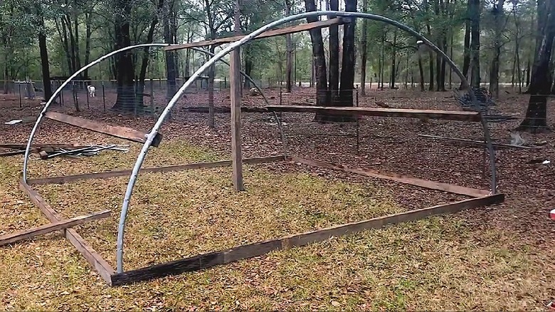A greenhouse frame made from repurposed trampoline arches and wood boards.