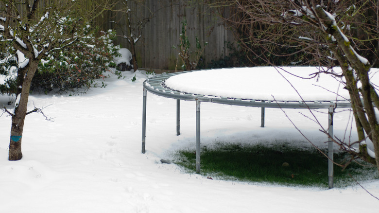 An old trampoline in a backyard covered in a layer of snow.