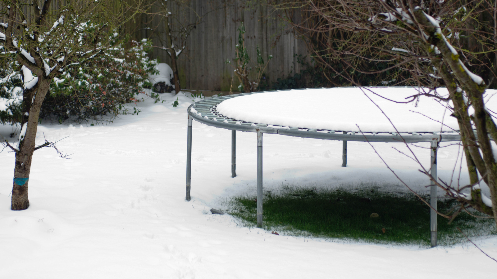 The Creative Way To Turn An Old Trampoline Into A Winter Greenhouse