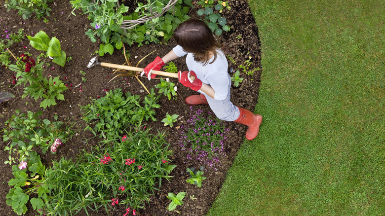 woman working in a garden
