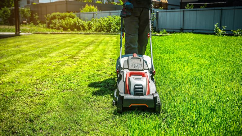 Man pushing a lawn mower across green grass in yard.