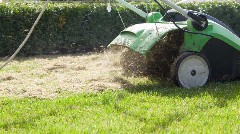 Green lawn scarifying machine working on grass