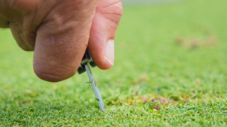 A hand sticking a multitool screwdriver into the soil.