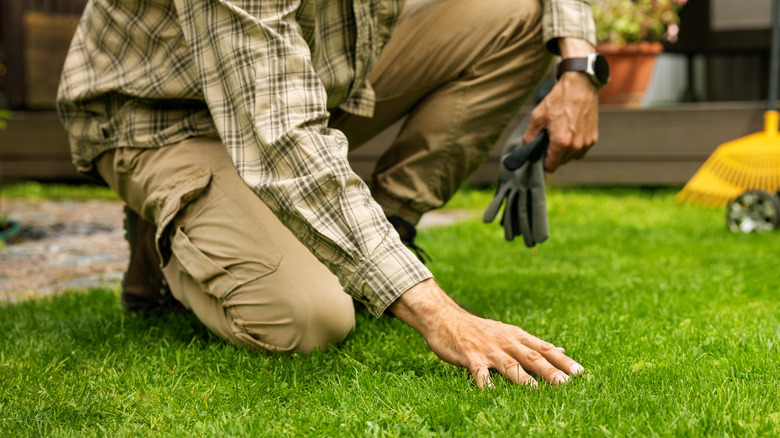A person in pants and a long-sleeved shirt kneeling down to touch the grass in a lawn.