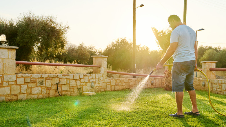 A man waters his lawn with a garden hose.
