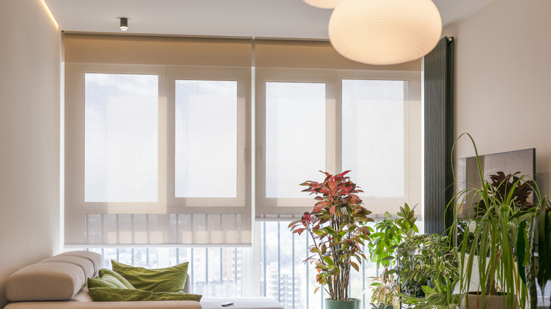 A living room with windows covered with beige solar shades