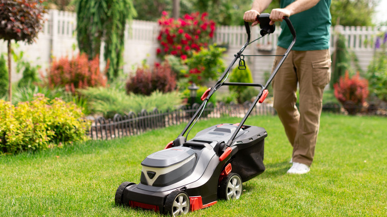 Man mowing the lawn with a modern electric lawn mower in a garden with green grass and colorful plants