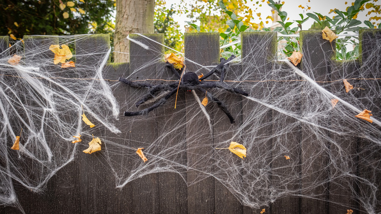 Fake cobweb on fence 