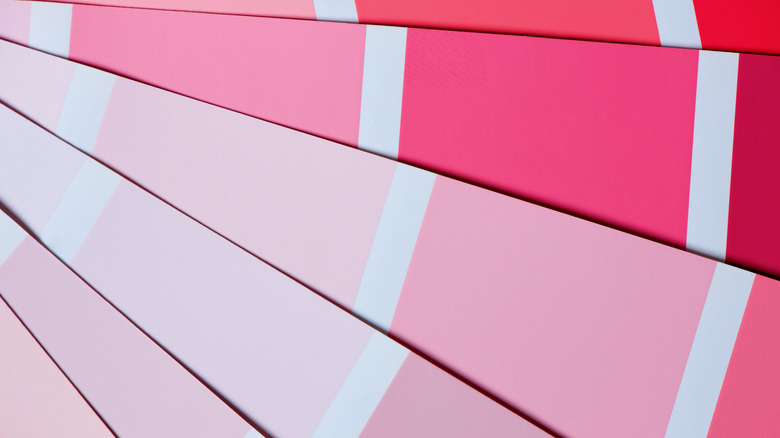 Paint swatches in varying shades of pink